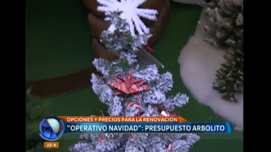 "Operativo Navidad": ¿cuánto cuesta armar el arbolito?