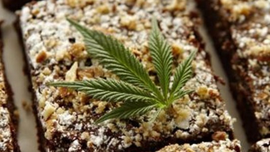 Un profesor fue hospitalizado tras comer un brownie que contenía marihuana