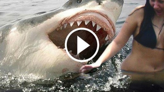 Crean un detector de mentiras para evitar videos falsos en los medios