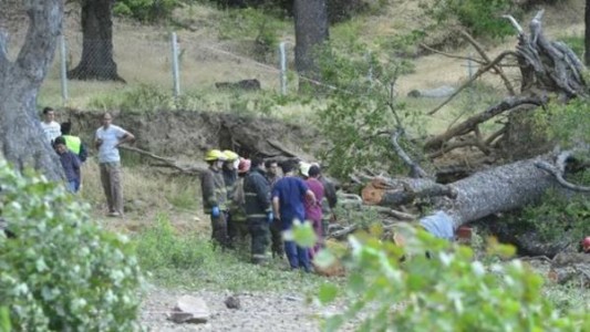 Dos nenes murieron aplastados por un árbol en un camping y hay dos detenidos