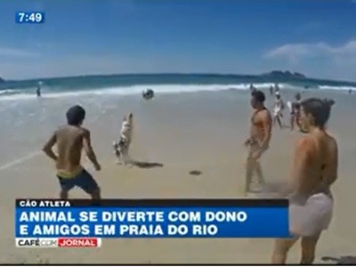 #EsViral En Brasil hasta el más perro juega bien al fútbol