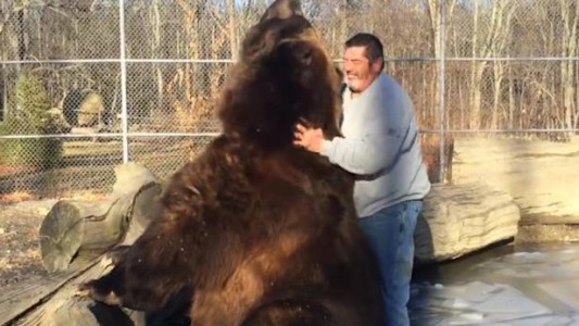 Video viral: la increíble amistad entre un hombre y un oso