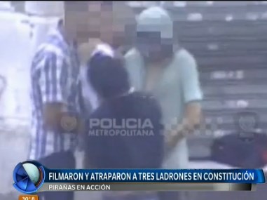 Pirañas en acción