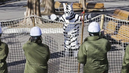 Un zoológico japoonés realizó un insólito simulacro