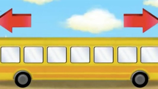 #EsViral: ¿para vos, en qué dirección va este autobús?