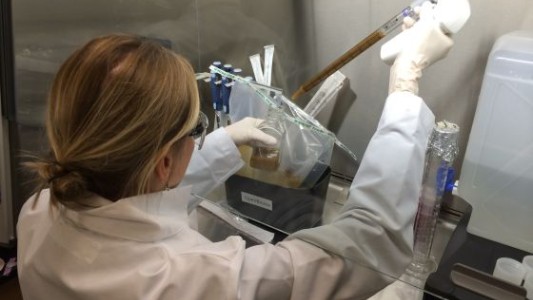 Holanda abre su primer "banco de materia fecal"