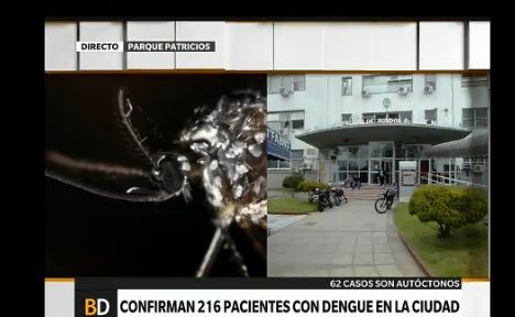 Confirman 216 casos de dengue en la ciudad de Buenos Aires