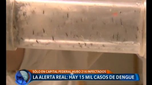 El Gobierno confirmó 15 mil casos de dengue en el país