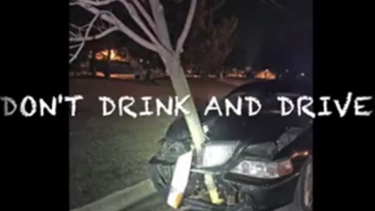 #EsViral Bebió, manejó, chocó y se llevaba el árbol a su casa