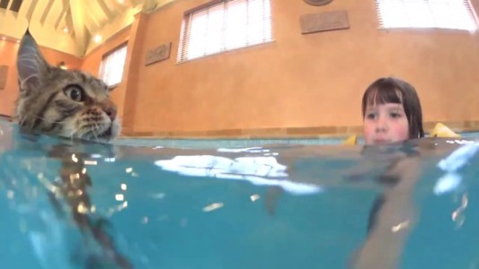 La historia de la pintora autista de 6 años y su inseparable gato