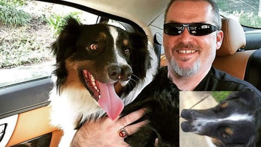 Adoptó a un perro con dos narices que iba a ser sacrificado y lo salvó