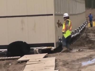 #EsViral la carrera del obrero asustado por un oso