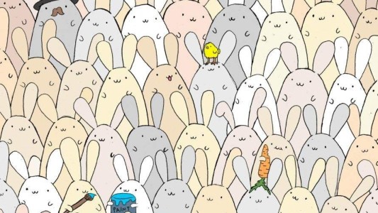 Un nuevo desafío visual: encontrá el huevo de pascua entre los conejos