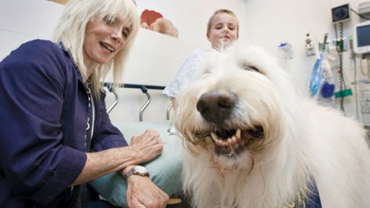Un hospital permite que los pacientes puedan recibir la visita de sus mascotas