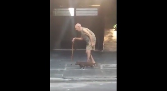 El perro salchicha que acompaña a su anciano dueño conmueve a las redes sociales