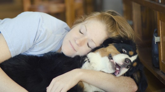 Estudios afirman que a los perros no les gusta que los abracen