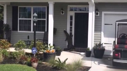 #EsViral El cocodrilo que toca el timbre