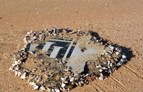 Un jubilado encontró en una playa una pieza del MH370 y la dejó tirada porque olía “mal”