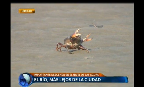 Se armó la playa en la cuidad de Buenos Aires