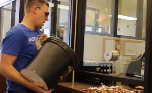 Video: la multa le pareció injusta y la pagó con 22 mil monedas de un centavo