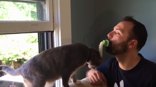 Crea una lengua de silicona para lamer a su gato como lo haría otro gato