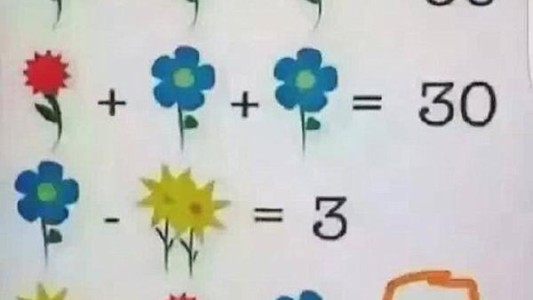 La ecuación matemática de las flores que es furor en las redes sociales