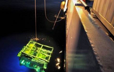 Encuentran la segunda caja negra del avión de Egyptair