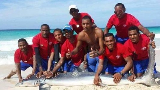 Punta Cana: capturan un tiburón, se sacan fotos y lo dejan morir