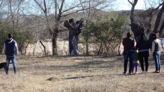 Creen ver la imagen de la virgen en el tronco de un árbol en Córdoba
