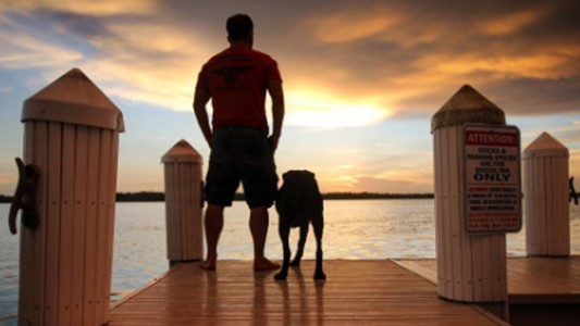 El “viaje de despedida” de un hombre y su perro diagnosticado con cáncer