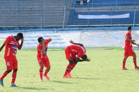 Suspendieron un partido de fútbol por una invasión de abejas