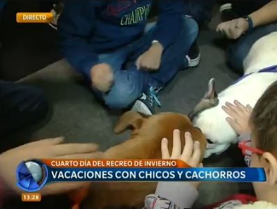 La feria de mascotas, un paseo para chicos