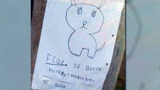 Dos nenes buscan a su perra con un "retrato" porque no tienen una foto