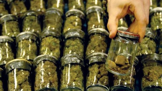 "Dark web": crece la venta de drogas en Internet, donde la marihuana es lo más vendido