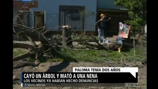 Una nena de dos años murió aplastada por un árbol en la vereda