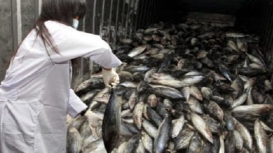 China: los detienen por vender mariscos radiactivos procedentes de Fukushima