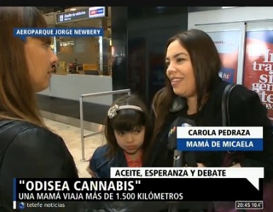 Odisea cannabis