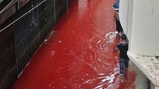 Ríos de sangre en la capital de Bangladesh