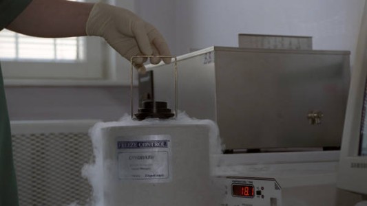 Polémica por un "Tinder" para elegir donante de esperma