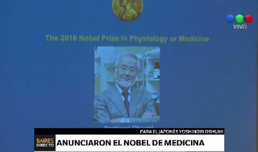 Nobel de Medicina para un médico japonés por revelar mecanismos de la autofagia