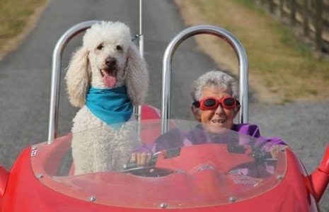 El increíble recorrido de la anciana que prefirió viajar antes que tratarse un cáncer