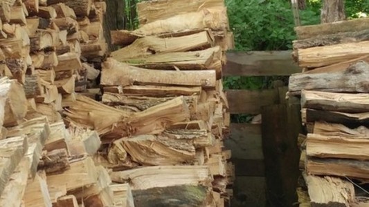 Acertijo viral: ¿dónde "se esconde" el gato?