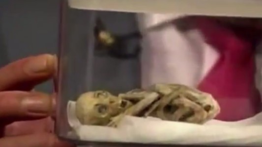 Investigador de Ovnis mostró un "extraterrestre" en un programa de televisión