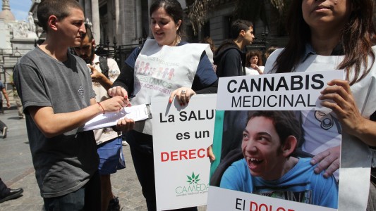 Diputados trató por primera vez la despenalización del uso medicinal de cannabis