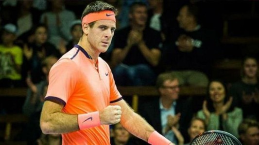En un anticipo de la final de la Copa Davis, Del Potro venció a Karlovic en el ATP de Estocolmo