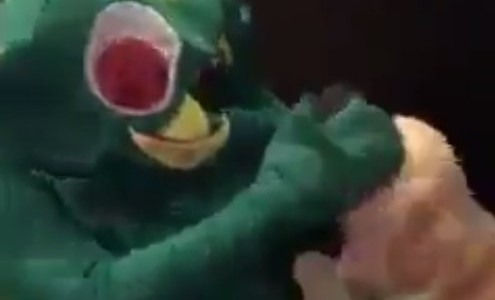 Video: esto sucede cuando un hombre se disfraza del juguete favorito de su perro