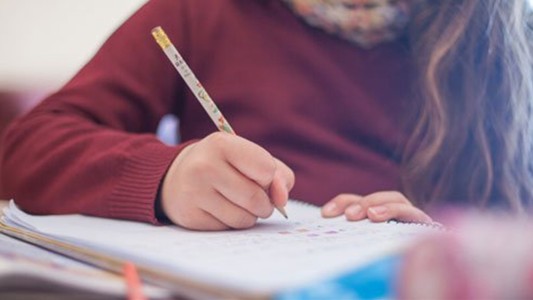 España: padres de alumnos iniciaron una histórica "huelga de deberes"