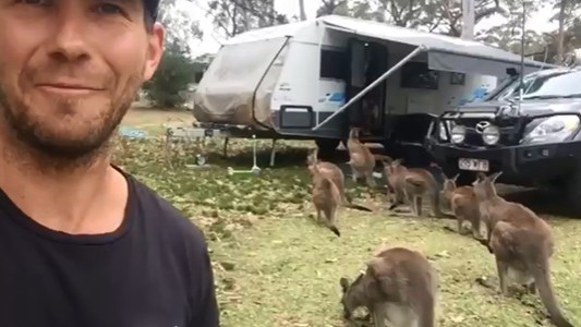 #EsViral Una mala idea: darle de comer a un canguro en tu casa rodante