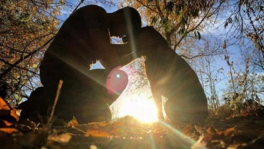 Murió bella, la perra que tenía cáncer y su dueño la llevó de viaje como despedida