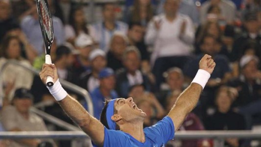 La ATP otorgó a Del Potro el premio al "Mejor regreso de año"